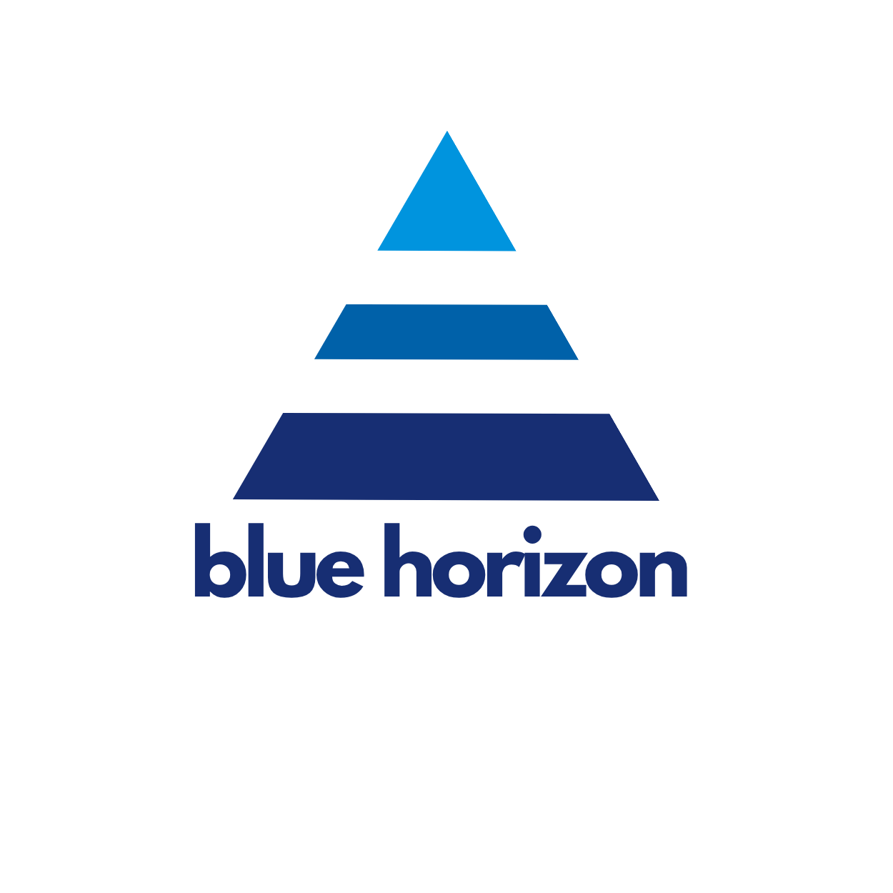 Blue Horizon Trading logo